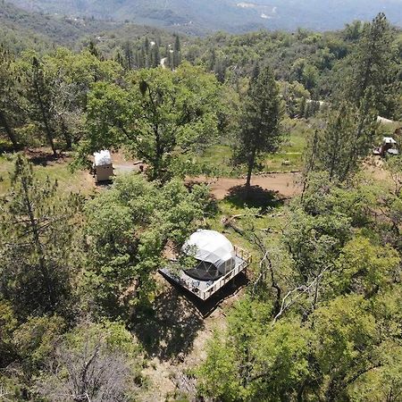 Enchanted Forest Dome ,10-15 Minutes To Kings Canyons-New Pellet Stove For Cozy Warm Nights Dunlap Exteriör bild