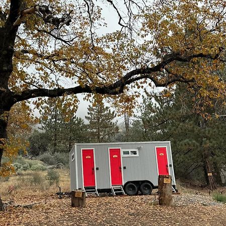 Enchanted Forest Dome ,10-15 Minutes To Kings Canyons-New Pellet Stove For Cozy Warm Nights Dunlap Exteriör bild