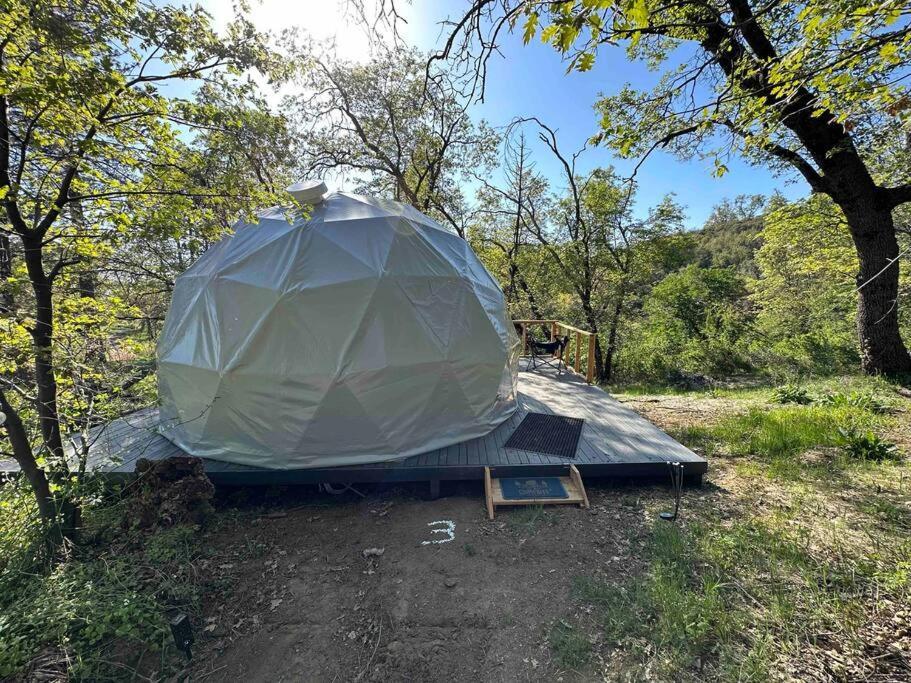 Enchanted Forest Dome ,10-15 Minutes To Kings Canyons-New Pellet Stove For Cozy Warm Nights Dunlap Exteriör bild
