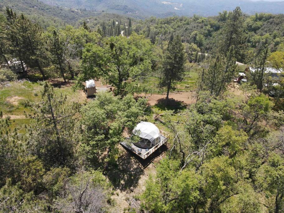 Enchanted Forest Dome ,10-15 Minutes To Kings Canyons-New Pellet Stove For Cozy Warm Nights Dunlap Exteriör bild